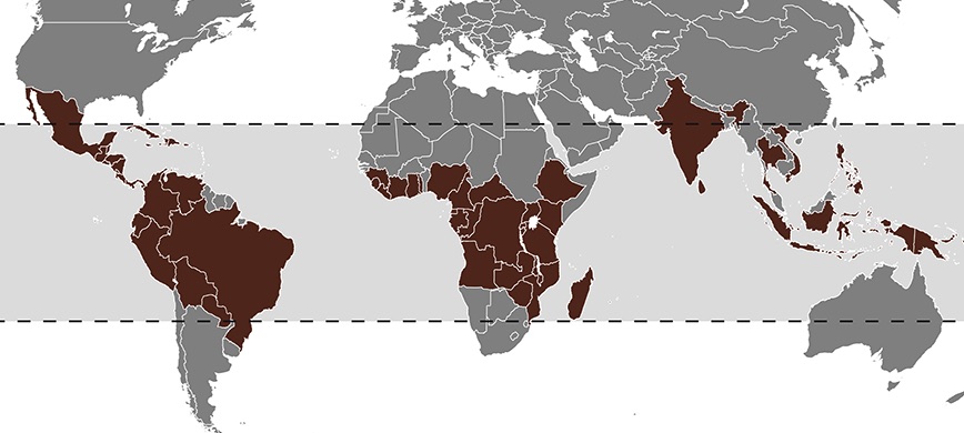 Coffee Growing Belt Map