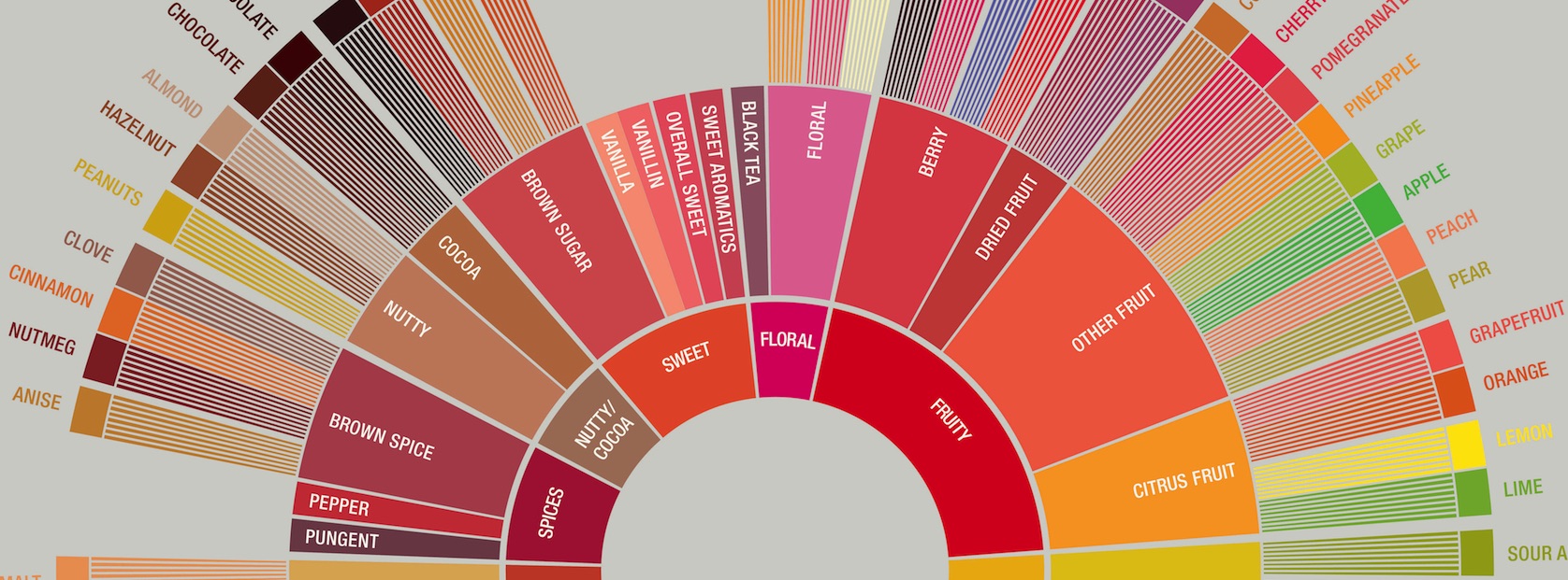 Coffee Taster’s Flavor Wheel